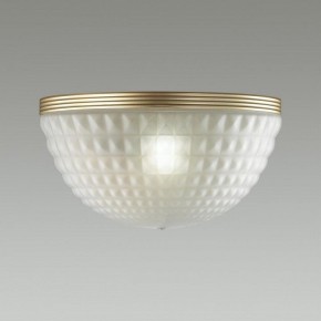 Накладной светильник Odeon Light Malaga 4936/1W в Ревде - revda.mebel24.online | фото 2