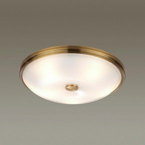 Накладной светильник Odeon Light Pelow 4956/5 в Ревде - revda.mebel24.online | фото 2