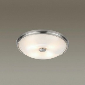 Накладной светильник Odeon Light Pelow 4957/4 в Ревде - revda.mebel24.online | фото 2