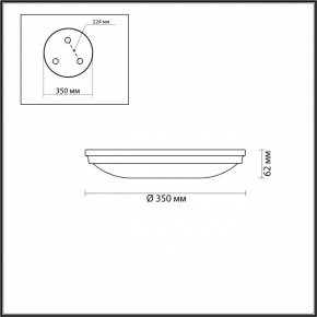Накладной светильник Odeon Light Pelow 4957/4 в Ревде - revda.mebel24.online | фото 3