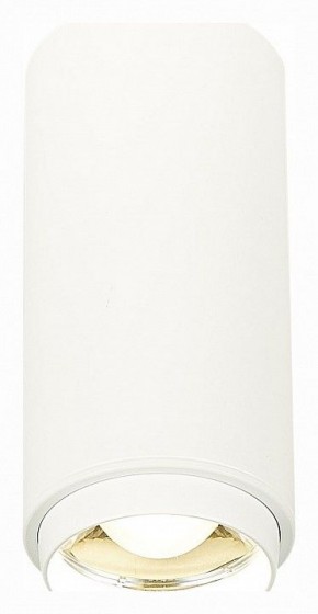 Накладной светильник ST-Luce Zoom ST600.542.10 в Ревде - revda.mebel24.online | фото 2