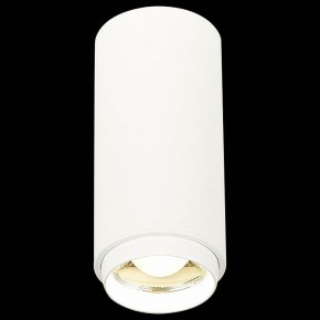 Накладной светильник ST-Luce Zoom ST600.542.10 в Ревде - revda.mebel24.online | фото 3