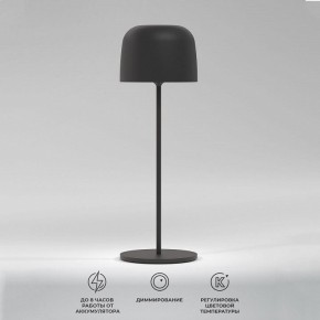 Настольная лампа декоративная Elektrostandard Bitty a069002 в Ревде - revda.mebel24.online | фото 2