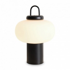 Настольная лампа декоративная Freya Take FR6175TL-L10B в Ревде - revda.mebel24.online | фото