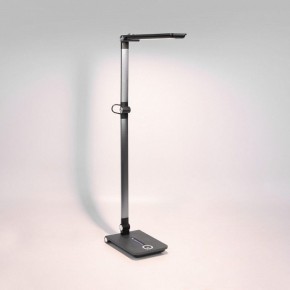 Настольная лампа офисная Elektrostandard Great a065290 в Ревде - revda.mebel24.online | фото 3