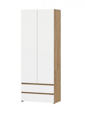 НЕКСТ 1 Шкаф двухстворчатый с ящиками в Ревде - revda.mebel24.online | фото