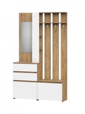 НЕКСТ 1 Вешалка с зеркалом + Шкаф 2-х ств. с ящиками в Ревде - revda.mebel24.online | фото 4