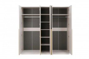 НИКОЛЬ 25 Шкаф 5-ти створчатый в Ревде - revda.mebel24.online | фото 3