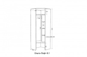 ОЛЬГА-ЛОФТ 9.2 Шкаф угловой с зеркалом в Ревде - revda.mebel24.online | фото 3
