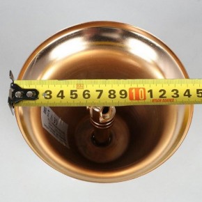 Подвесная люстра Aployt Alessio APL.858.03.31 в Ревде - revda.mebel24.online | фото 8