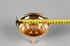 Подвесная люстра Aployt Daniele APL.701.03.12 в Ревде - revda.mebel24.online | фото 6