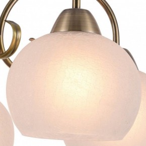 Подвесная люстра Arte Lamp Margo A9317LM-5AB в Ревде - revda.mebel24.online | фото 2