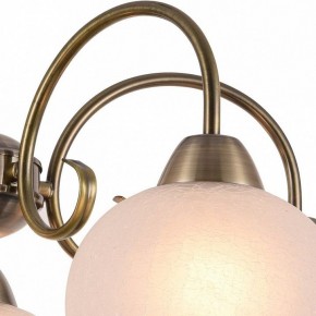 Подвесная люстра Arte Lamp Margo A9317LM-5AB в Ревде - revda.mebel24.online | фото 3