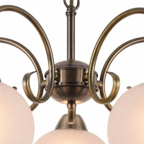 Подвесная люстра Arte Lamp Margo A9317LM-5AB в Ревде - revda.mebel24.online | фото 4
