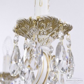 Подвесная люстра Bohemia Ivele Crystal AL7801 AL78101/10/250 A WMG в Ревде - revda.mebel24.online | фото 7