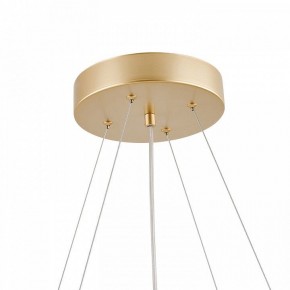 Подвесная люстра Favourite Asterismo 4448-8P в Ревде - revda.mebel24.online | фото 8