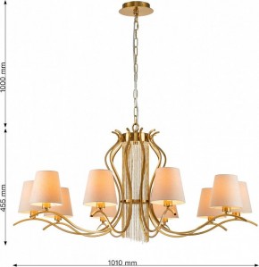 Подвесная люстра Favourite Ketten 2867-10P в Ревде - revda.mebel24.online | фото 4