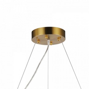 Подвесная люстра Favourite Magnitudo 2206-12P в Ревде - revda.mebel24.online | фото 7