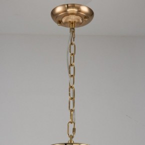 Подвесная люстра Favourite Rocca 2689-9P в Ревде - revda.mebel24.online | фото 2