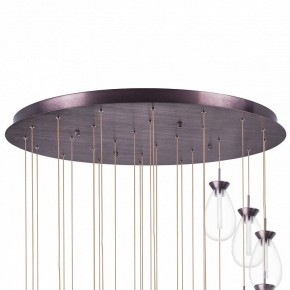 Подвесная люстра Lightstar Colore 805289 в Ревде - revda.mebel24.online | фото 6