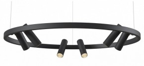 Подвесная люстра Maytoni Halo MOD102PL-L42BK в Ревде - revda.mebel24.online | фото