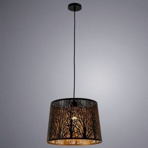 Подвесной светильник Arte Lamp Celesta A2769SP-1BK в Ревде - revda.mebel24.online | фото 3