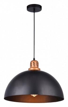 Подвесной светильник Arte Lamp Eurica A4249SP-1BK в Ревде - revda.mebel24.online | фото 2