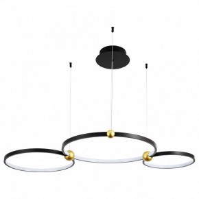 Подвесной светильник Divinare Amadeo 1123/04 SP-75 в Ревде - revda.mebel24.online | фото