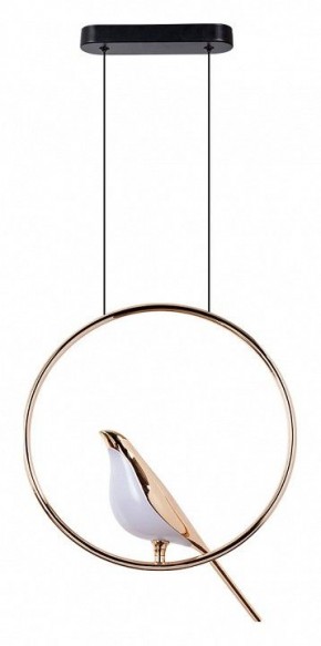 Подвесной светильник Divinare Summer 1188/01 SP-9 в Ревде - revda.mebel24.online | фото 2