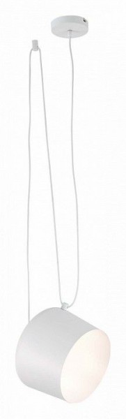 Подвесной светильник EVOLUCE Trieste SLE120653-01 в Ревде - revda.mebel24.online | фото 3