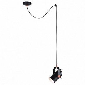 Подвесной светильник Favourite Ampolla 2007-1P в Ревде - revda.mebel24.online | фото 3