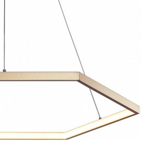 Подвесной светильник Favourite Hexagon 2103-6P в Ревде - revda.mebel24.online | фото 3
