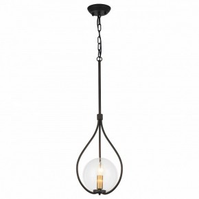 Подвесной светильник Favourite Kessel 1905-1P в Ревде - revda.mebel24.online | фото 2
