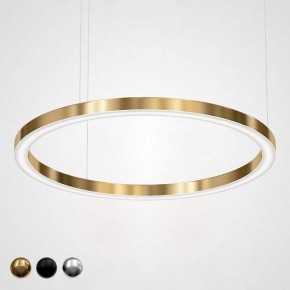 Подвесной светильник Imperiumloft Light Ring Horizontal 40.1454-120 в Ревде - revda.mebel24.online | фото