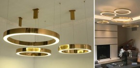 Подвесной светильник Imperiumloft Light Ring Horizontal 40.1454-80 в Ревде - revda.mebel24.online | фото 2