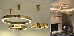 Подвесной светильник Imperiumloft Light Ring Horizontal 40.1454-80 в Ревде - revda.mebel24.online | фото 3