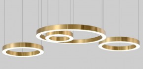 Подвесной светильник Imperiumloft Light Ring Horizontal 40.1454-80 в Ревде - revda.mebel24.online | фото 4