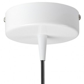 Подвесной светильник Lightstar Conicita 804110 в Ревде - revda.mebel24.online | фото 6