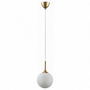 Подвесной светильник Lightstar Globo 813022 в Ревде - revda.mebel24.online | фото 2