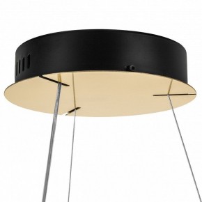 Подвесной светильник Lightstar Helio 703143 в Ревде - revda.mebel24.online | фото 8