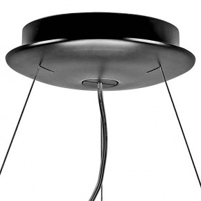 Подвесной светильник Lightstar Nibbler 812126 в Ревде - revda.mebel24.online | фото 7