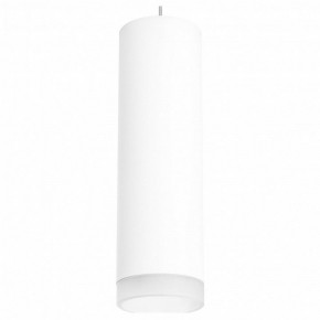 Подвесной светильник Lightstar Rullo RP649680 в Ревде - revda.mebel24.online | фото 2
