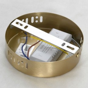 Подвесной светильник Lussole Centennial LSP-7024 в Ревде - revda.mebel24.online | фото 6