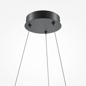 Подвесной светильник Maytoni Curve MOD241PL-L60BK в Ревде - revda.mebel24.online | фото 6