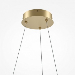 Подвесной светильник Maytoni Curve MOD241PL-L60BSK в Ревде - revda.mebel24.online | фото 6