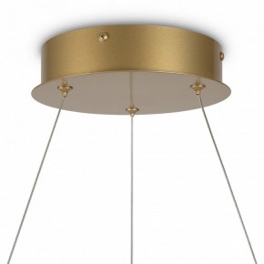 Подвесной светильник Maytoni Halo MOD100PL-L88BSK1 в Ревде - revda.mebel24.online | фото 6