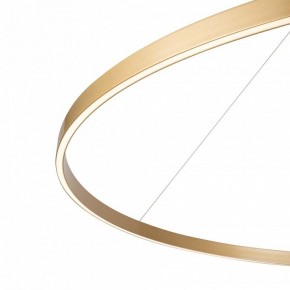 Подвесной светильник Maytoni Rim MOD058PL-L65BSK в Ревде - revda.mebel24.online | фото 5