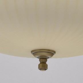 Подвесной светильник MW-Light Афродита 1 317010504 в Ревде - revda.mebel24.online | фото 9