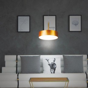 Подвесной светильник Novotech Prometa 358766 в Ревде - revda.mebel24.online | фото 4
