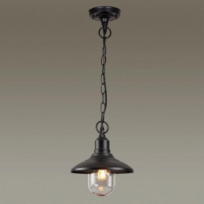 Подвесной светильник Odeon Light Campa 4965/1 в Ревде - revda.mebel24.online | фото 2
